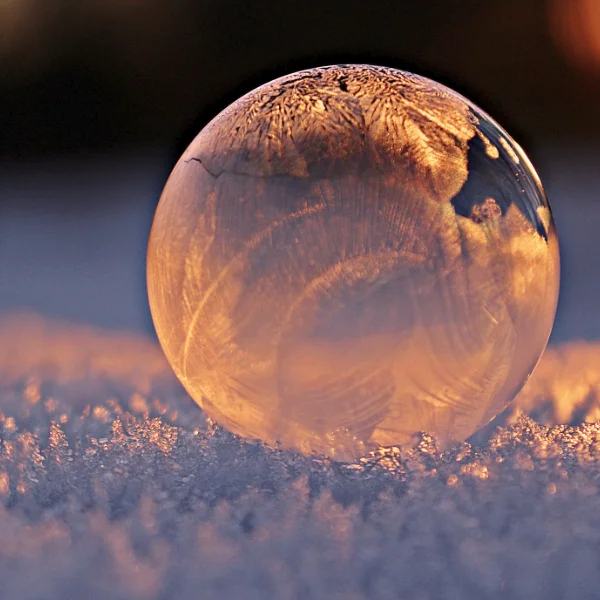 chlodnie-mroznie1-600x600