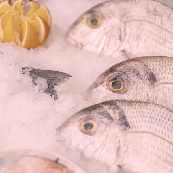 chlodnie-mroznie12-600x600