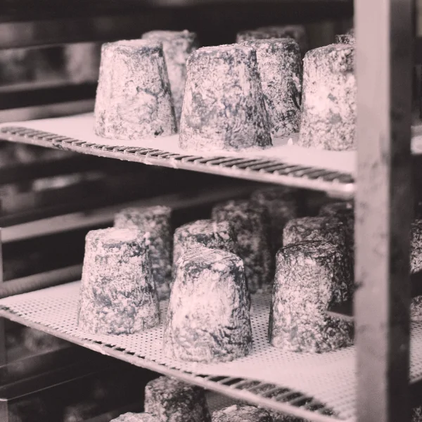 chlodnie-mroznie15-600x600