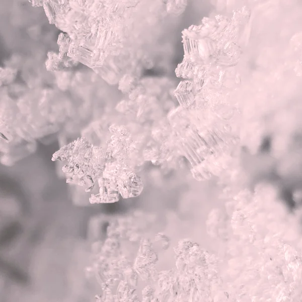 chlodnie-mroznie2-600x600