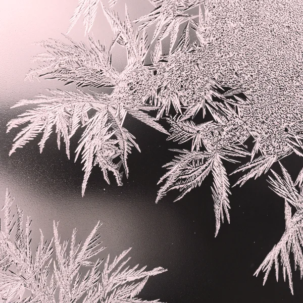 chlodnie-mroznie3-600x600