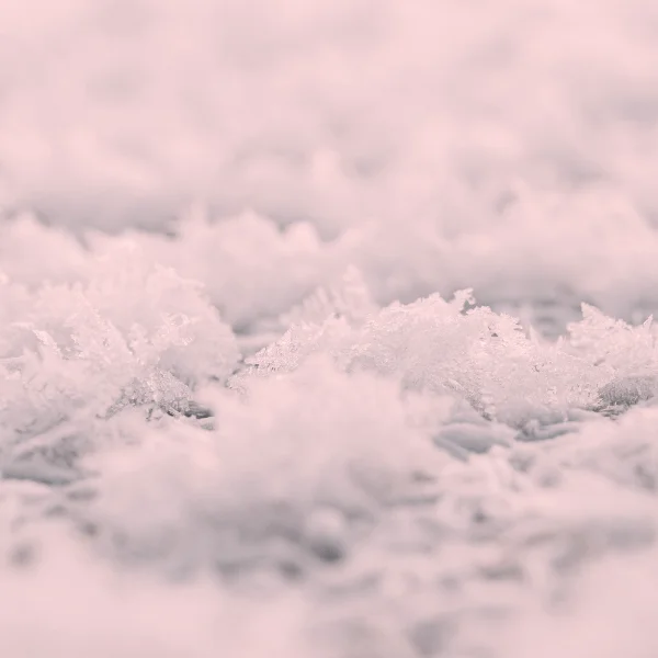 chlodnie-mroznie4-600x600