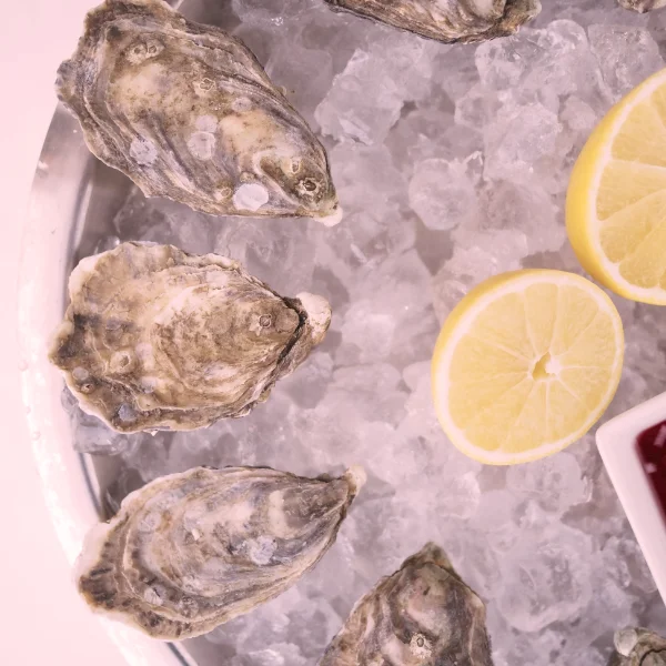 chlodnie-mroznie5-600x600