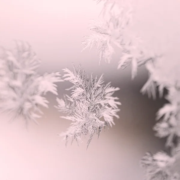 chlodnie-mroznie6-600x600